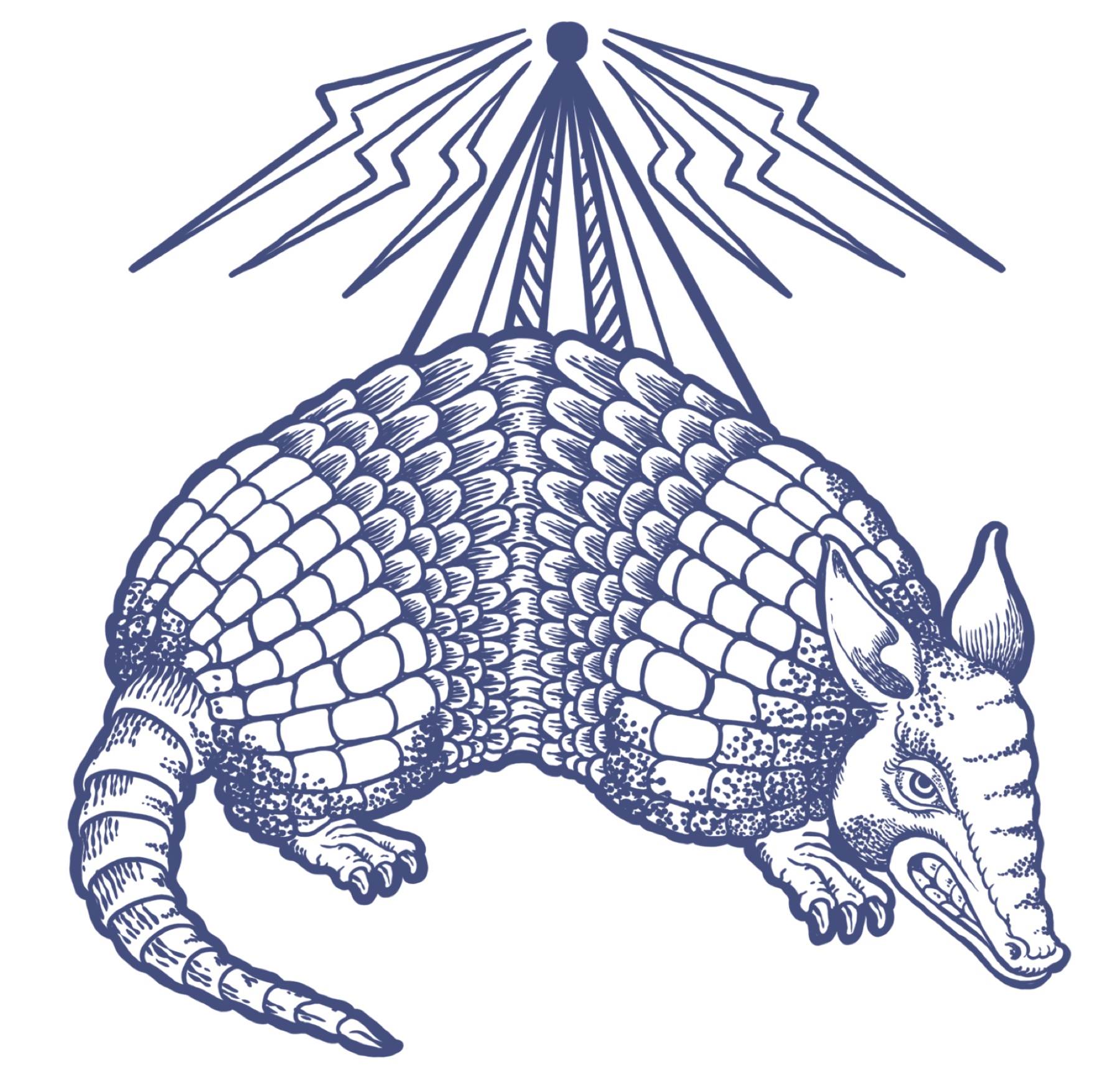 Dillo, the broadcasting armadillo